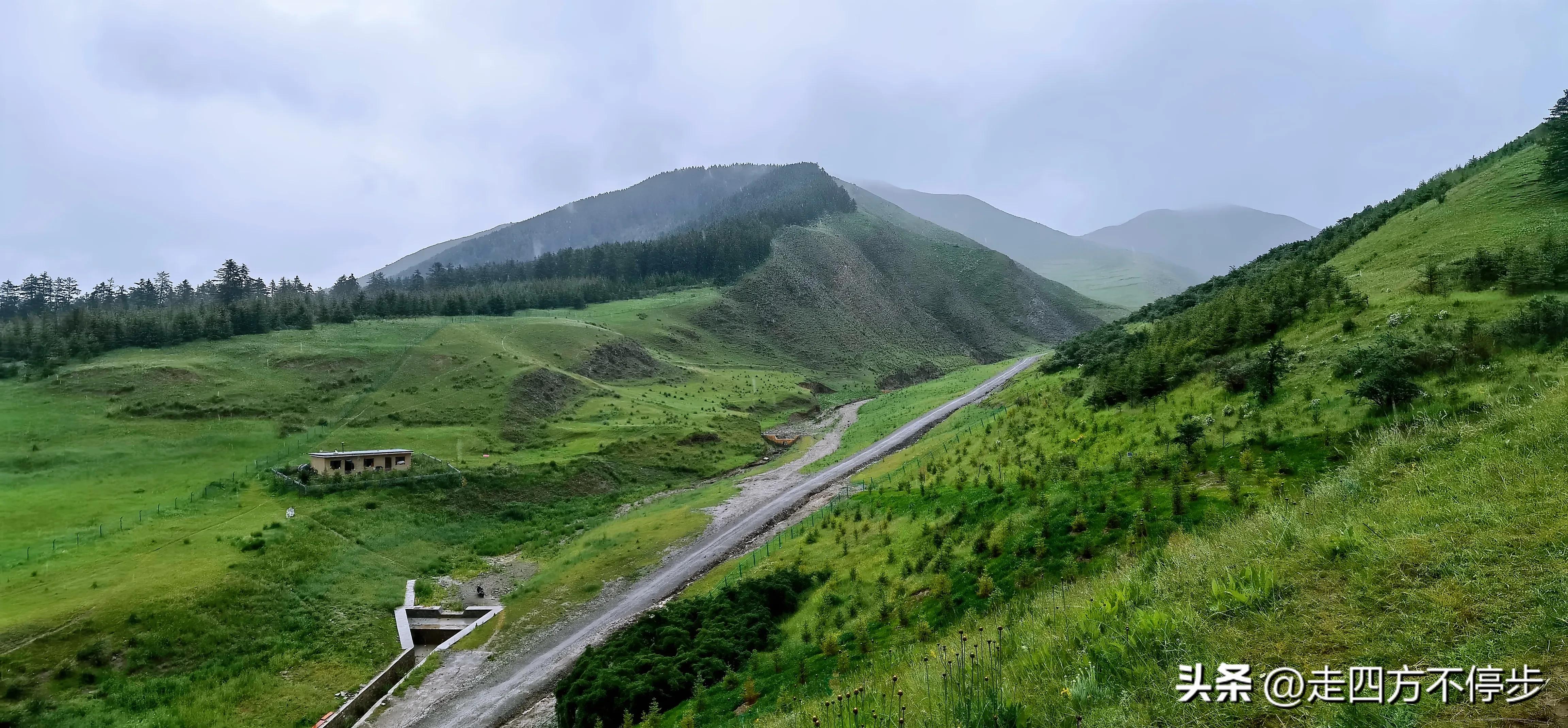 甘南自驾游桑科草原下一站,甘南桑科草原高清精美视频
