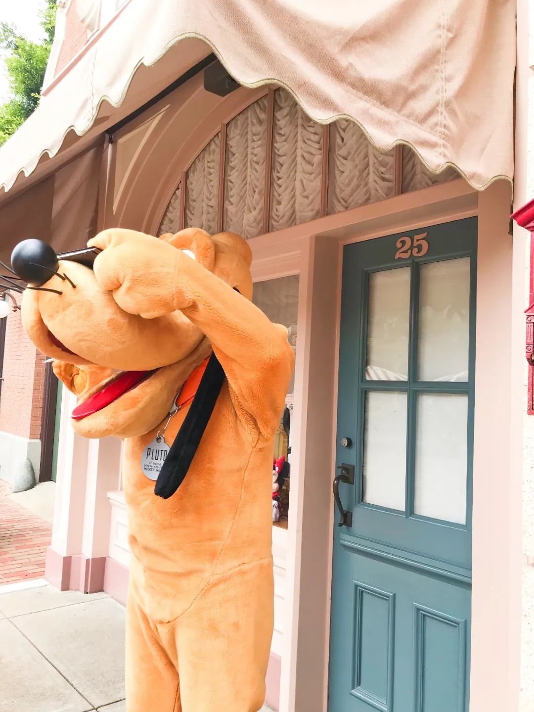 3年，终于等到香港通关！