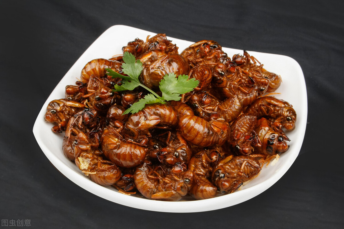 回忆家乡美食的散文,留住乡愁优美散文