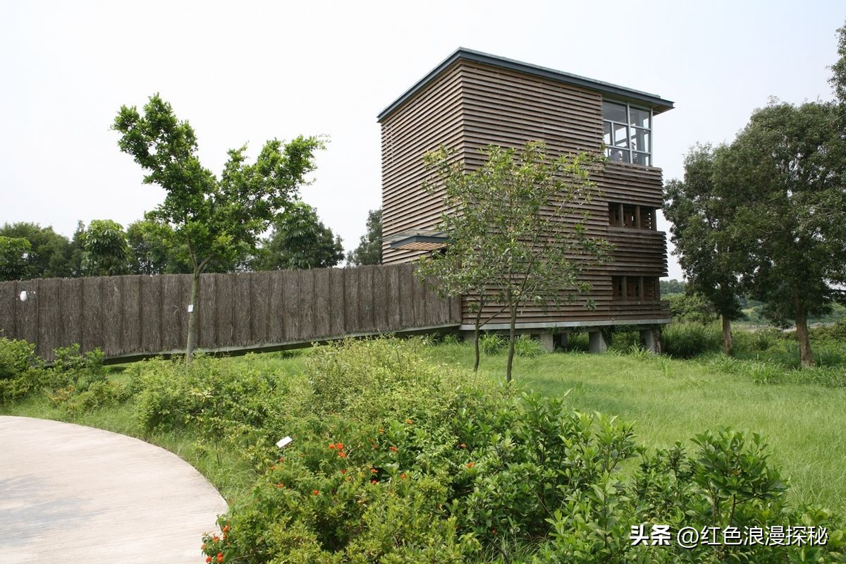 深圳东西方文化交融,香港传统文化体验