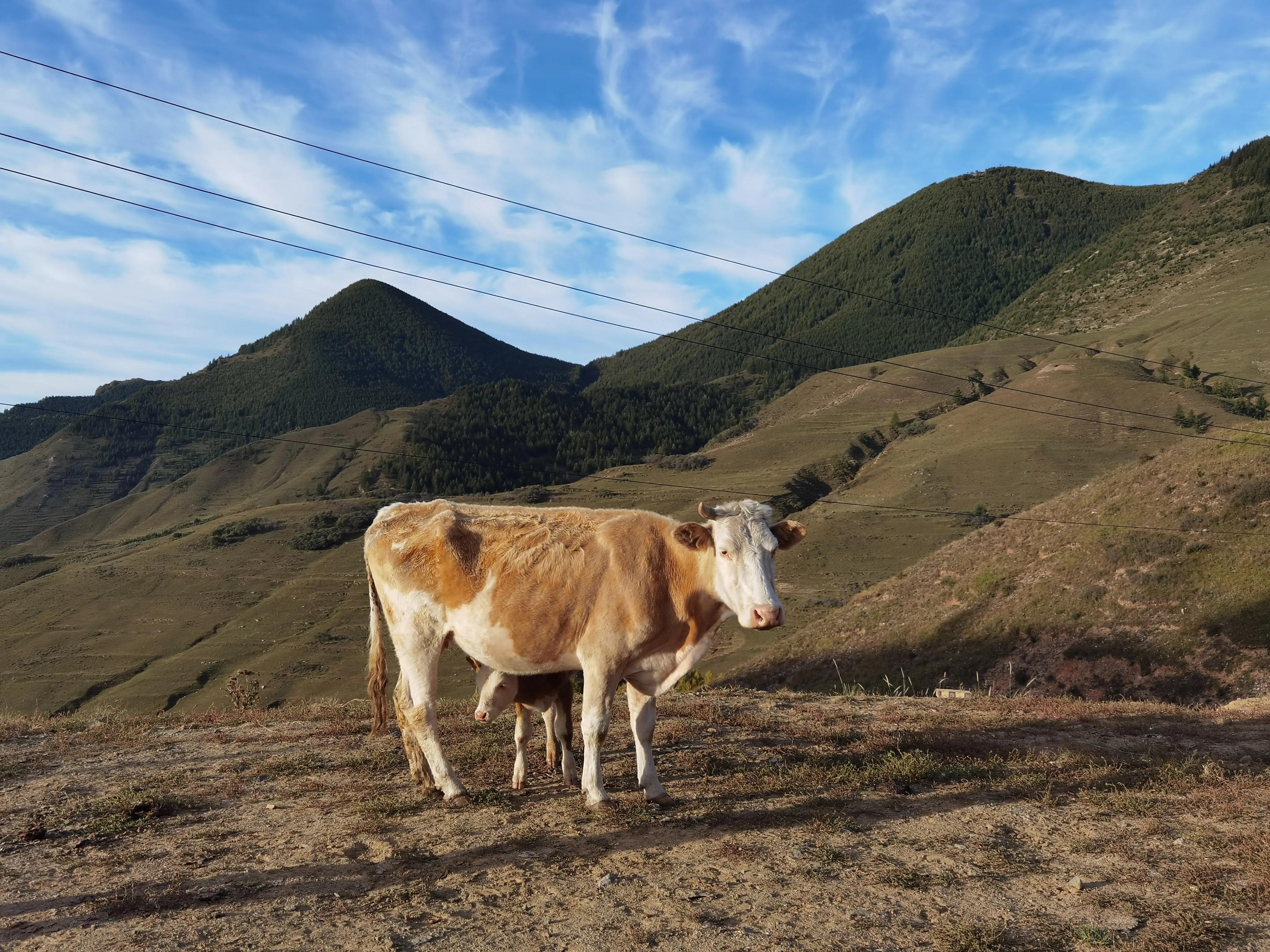 冬季五台山徒步大朝台完整攻略,五台山大朝台徒步一天可以走完吗