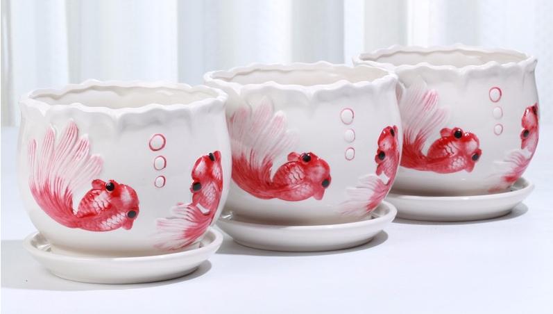 你给花草安的“家”舒心吗？