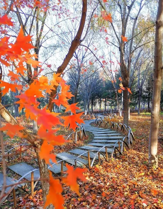 打开这份“小美好”指南，30个免费打卡地大盘点→