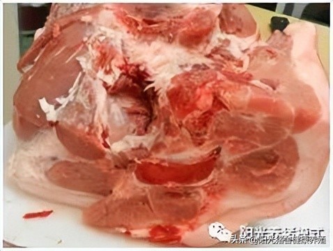 家庭农场养猪怎么样赚钱,农村养殖场养猪怎么赚钱