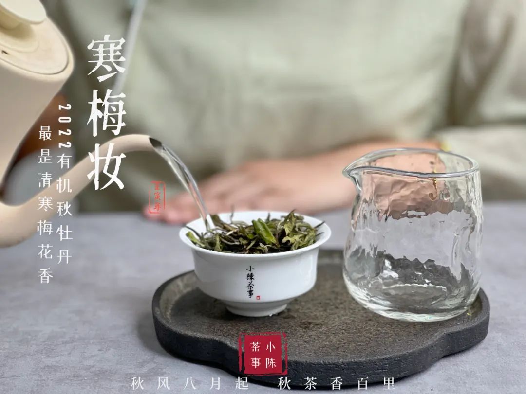 盖碗跟紫砂壶哪种适合泡白茶,白茶用紫砂壶还是盖碗