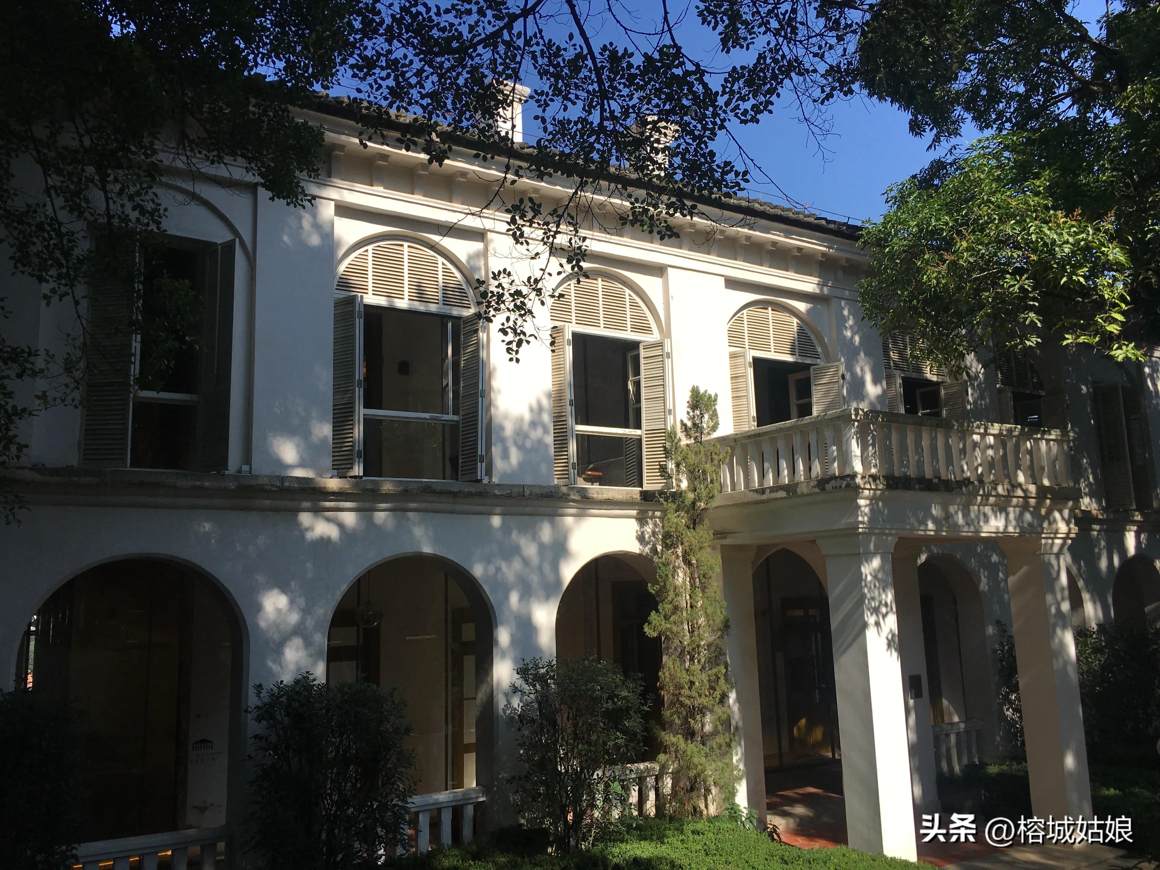 茶港历程,东方茶港历史