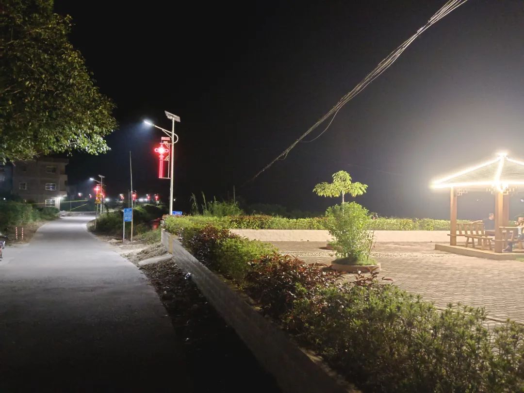 以高质量发展推进肇庆现代化建设,为肇庆高质量发展做出自己努力