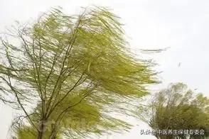 腋下出汗与阴虚有关系吗,头部爱出汗爱受风邪吃什么药