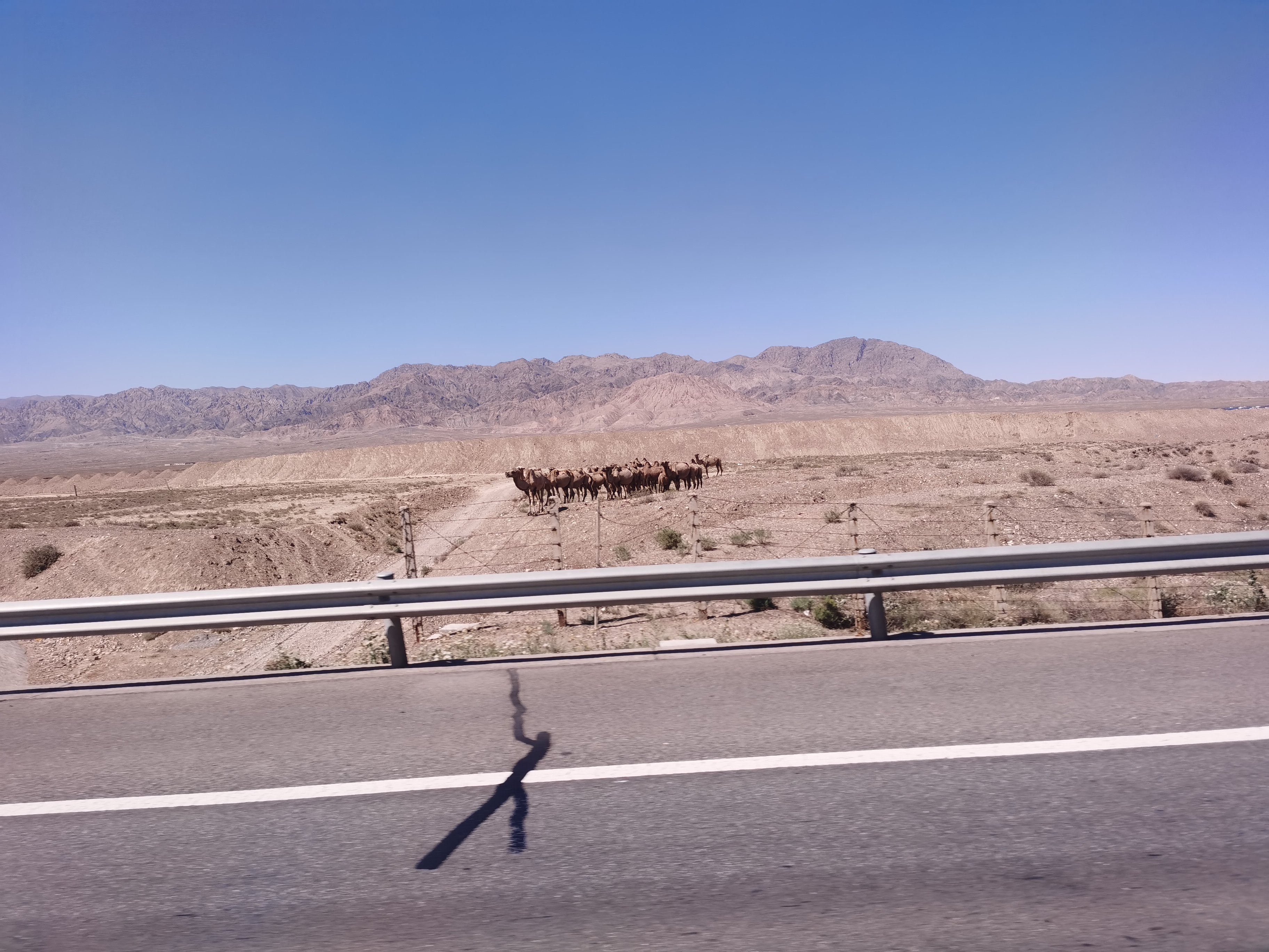 开着欧尚X5去大西北！记录张掖奇幻探索之旅~