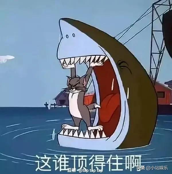 乔欣徐正溪嫣语赋首播好评,乔欣徐正溪茶艺夫妇