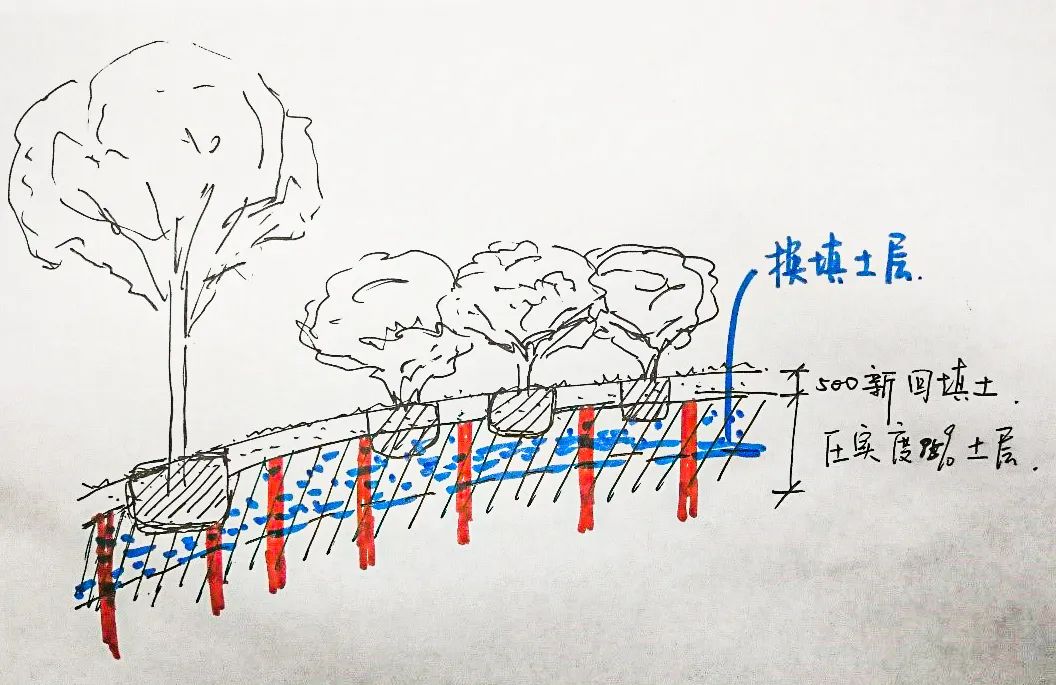 北京环球诺金酒店套房,诺金度假酒店北京环球度假区地址