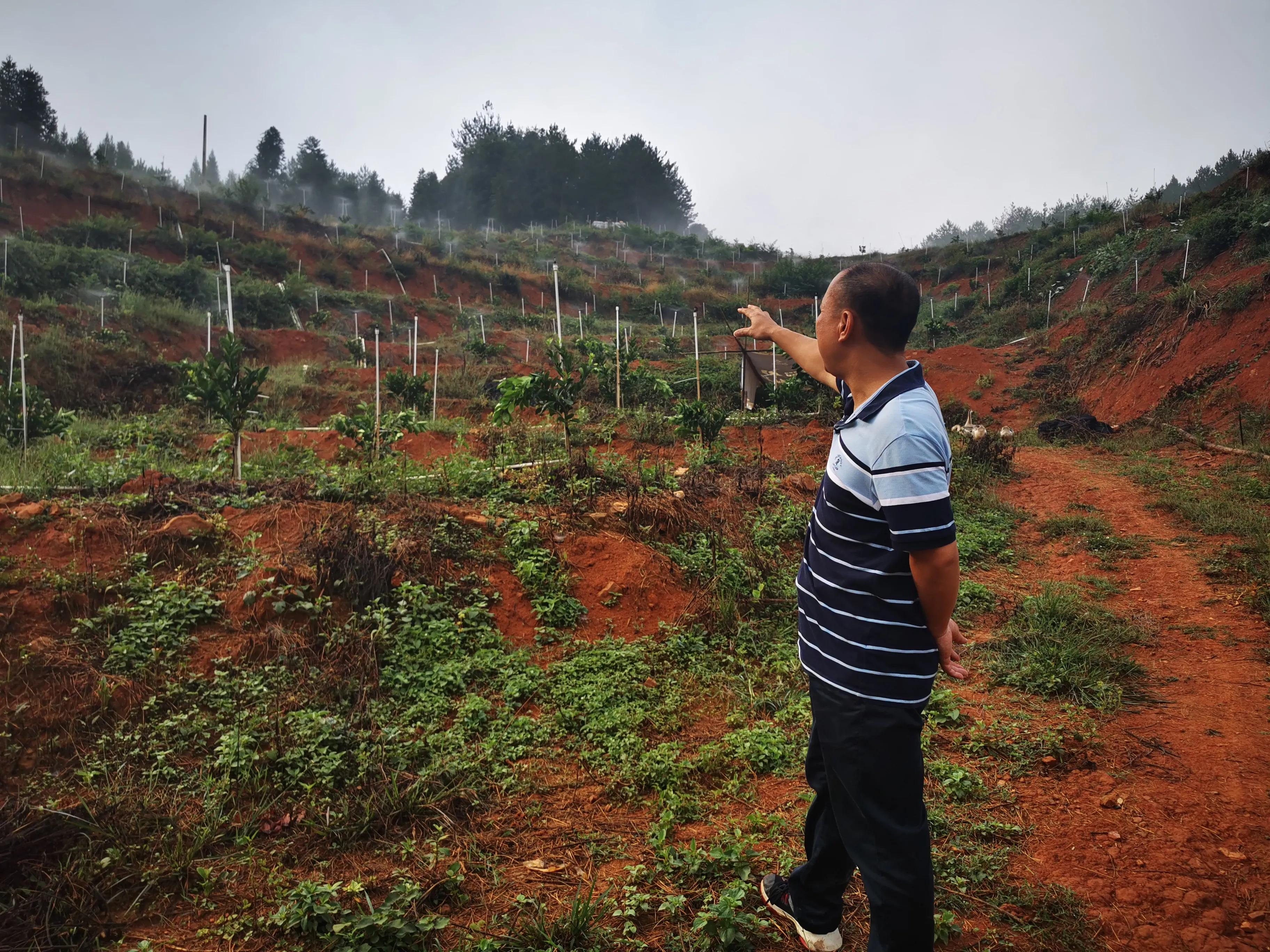 农业十大创业模式,农业项目合伙人模式