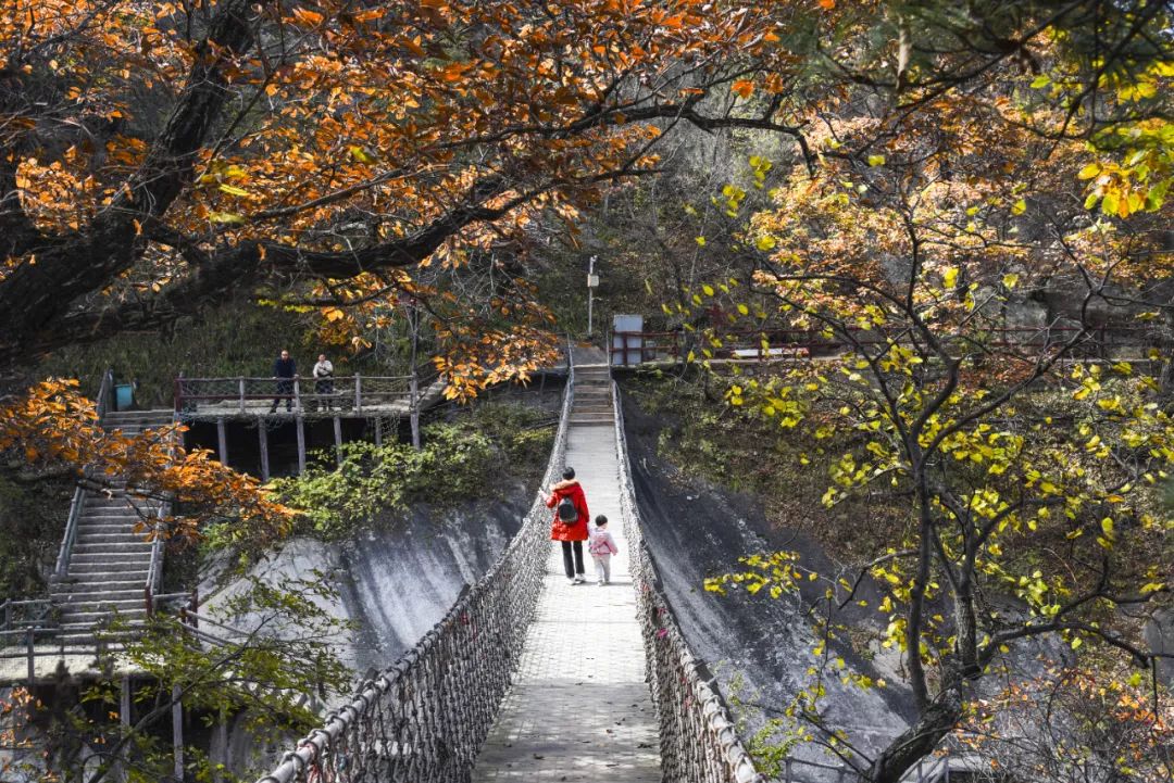 洛阳网红打卡地推荐,洛阳又一个网红打卡地