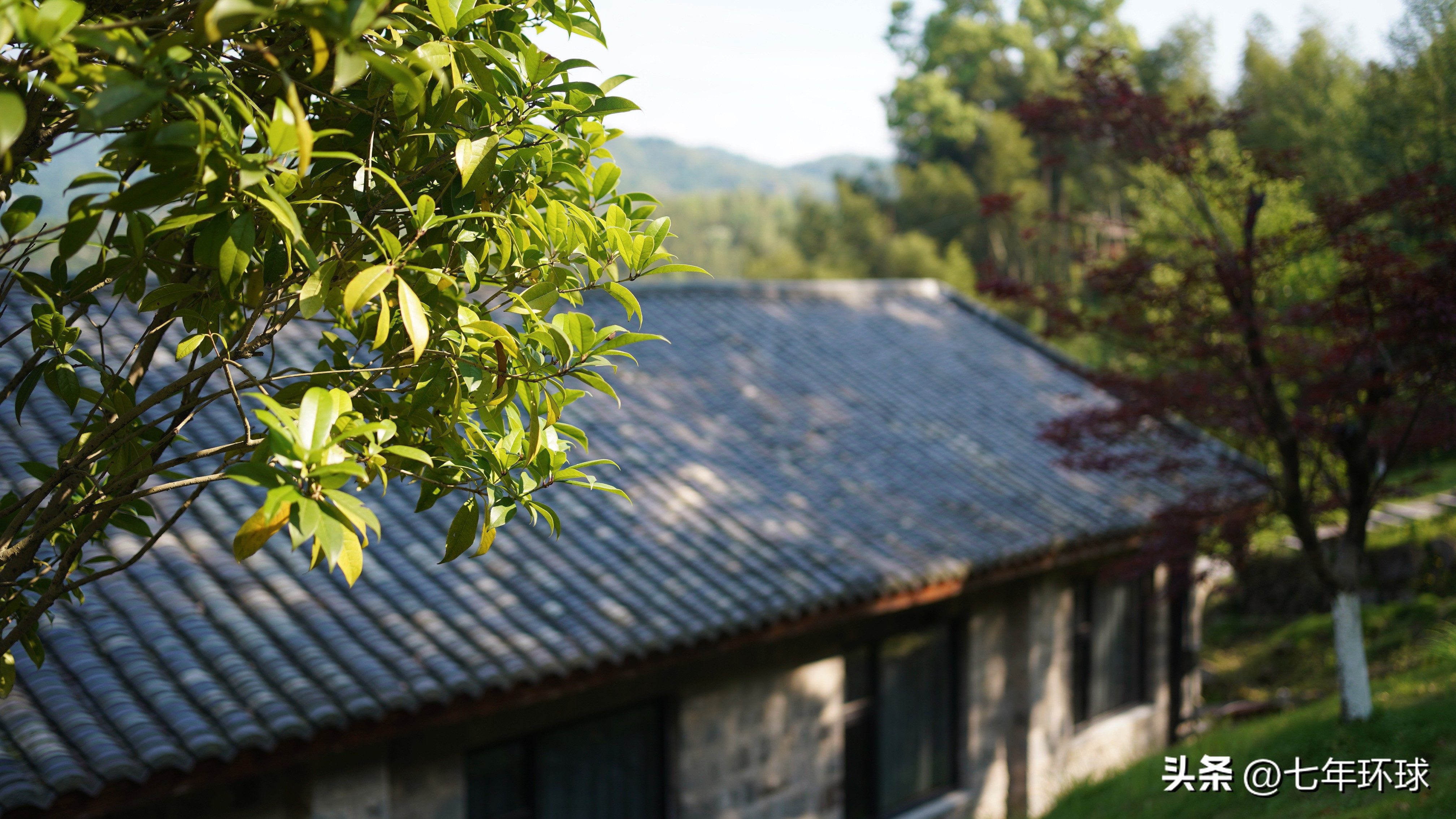 夏季江西7日旅游攻略,江西宜春五一3-5天短途旅游推荐