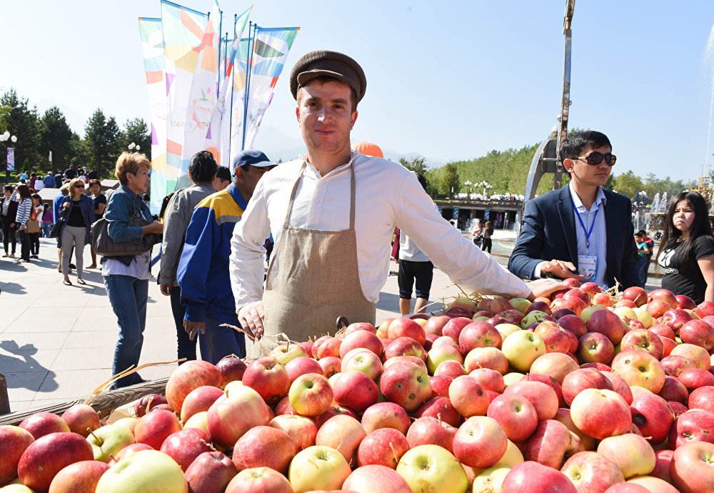 中亚哈萨克斯坦国内什么情况,哈萨克斯坦国家现况