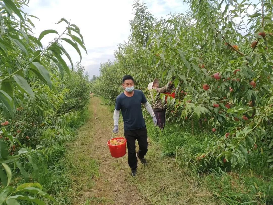 闇嶅皵鏋滄柉甯備紛杞﹀槑鍠勯敗浼埂,闇嶅皵鏋滄柉甯備紛杞﹀槑鍠勯敗浼皯鏃忎埂
