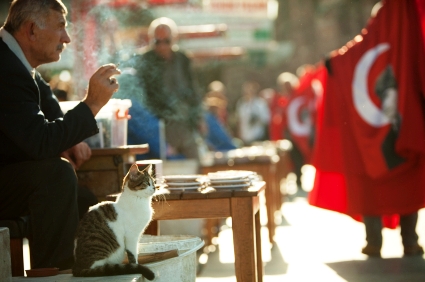 土耳其更改国名：欲与“火鸡”告别？