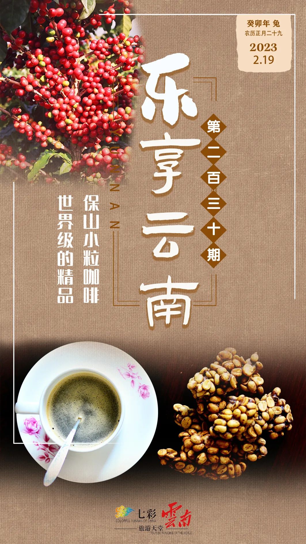 保山潞江坝小粒咖啡,小粒咖啡云南保山