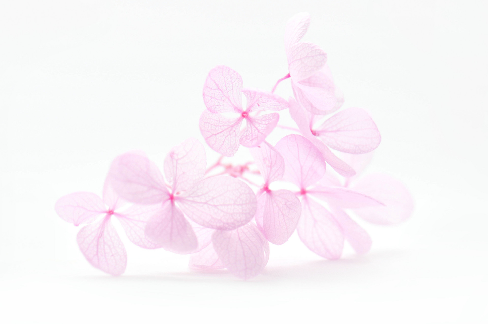 人到中年不要和兄弟姐妹走的太近,人到中年兄弟姐妹不宜多来往