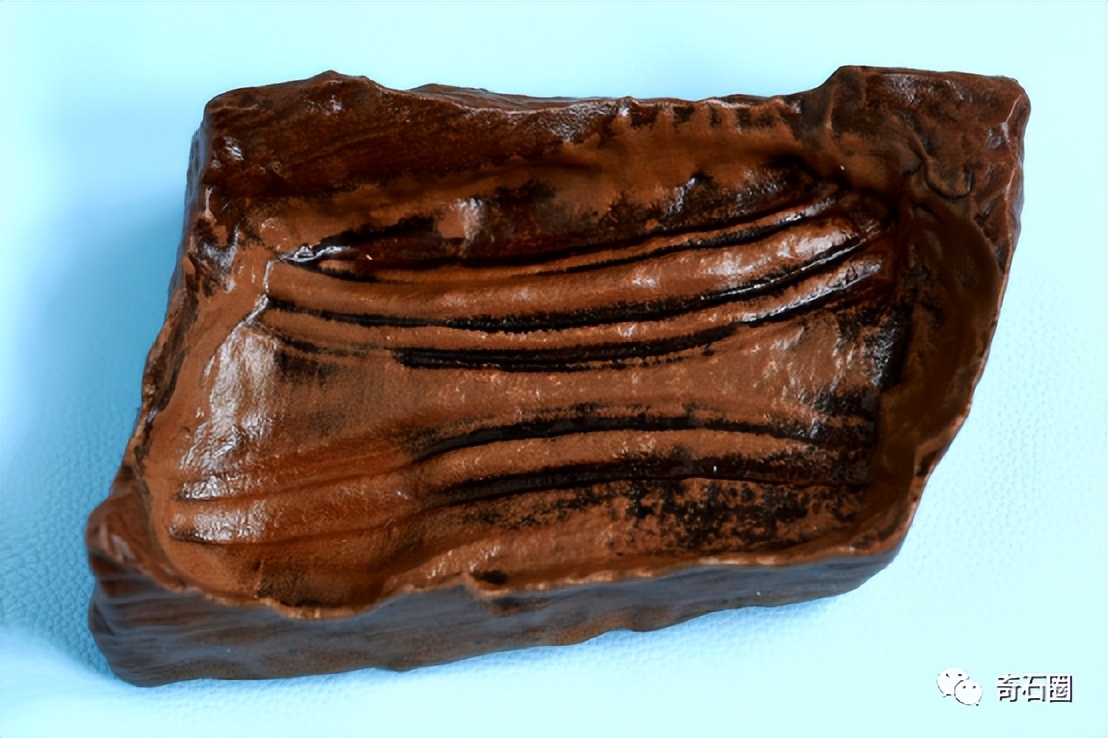 “带窝窝的石头”入围作品展播