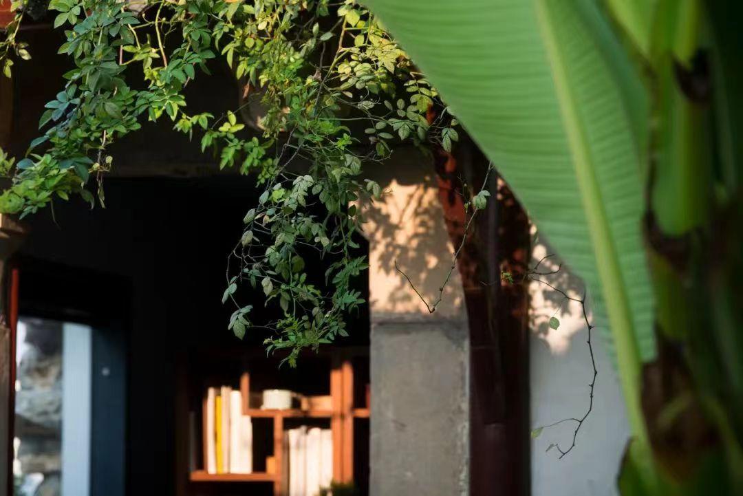 小楼周刊（299）：2022年第二十九期