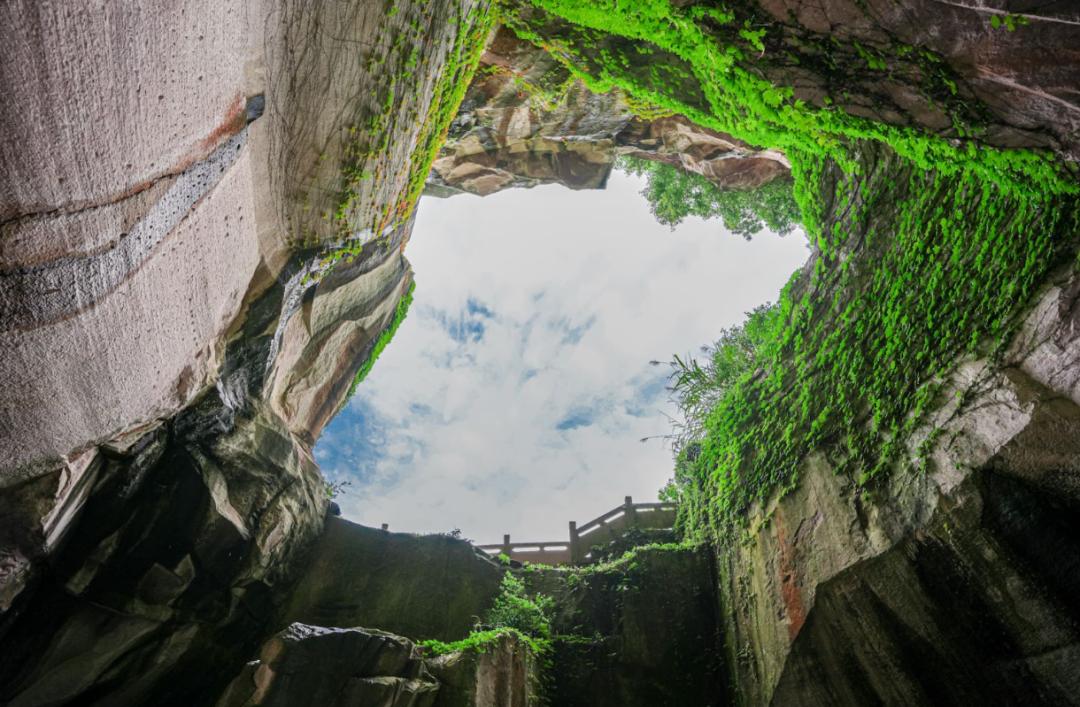 东海最后一处冷门小县城，藏了个海上仙子国，一口小海鲜封神