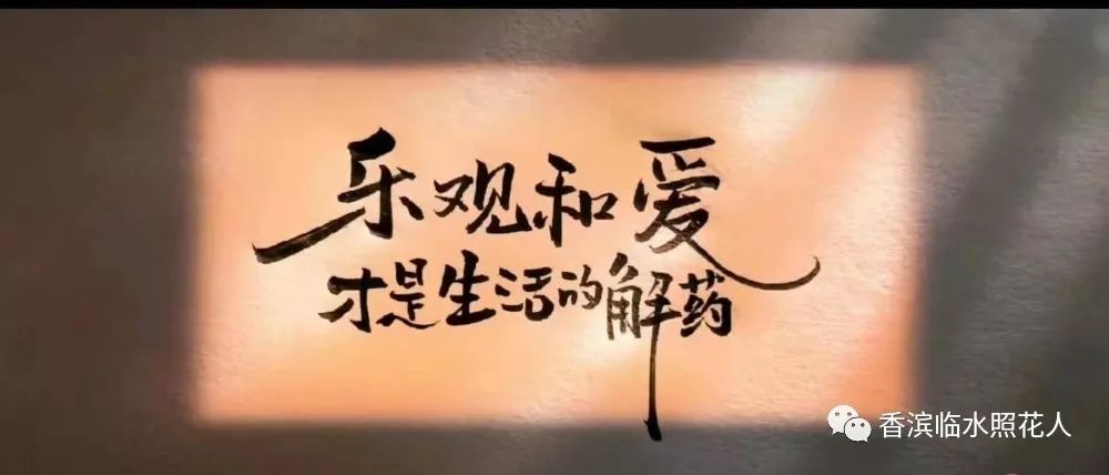 「我是小作家—作文」二年级看图作文——赵茗睿《送苹果》（5）