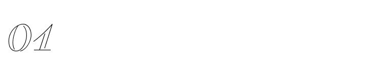 杩＋灏煎崄澶p,杩＋灏肩粡鍏竔p