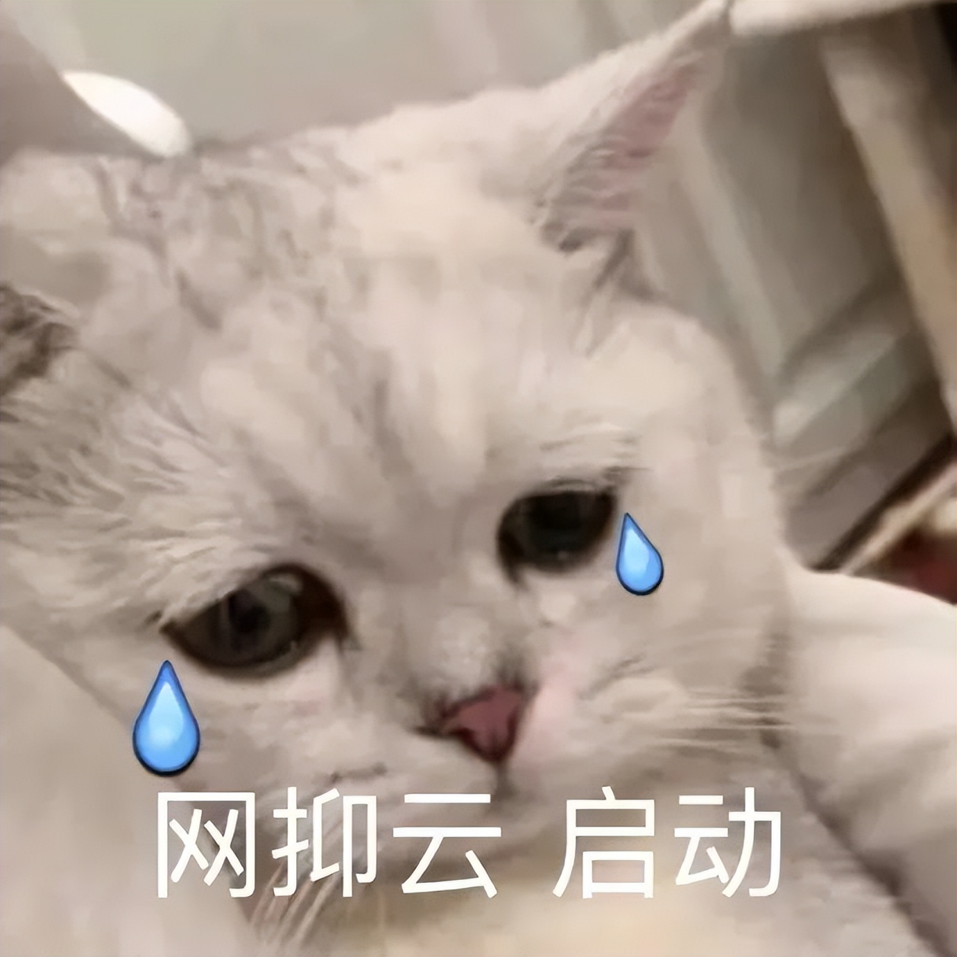 贩剑表情包评论区,贩剑表情包不回消息