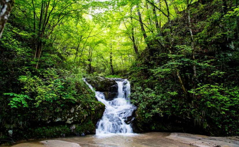 黄湾小镇避暑民宿,黄冈民宿自驾游