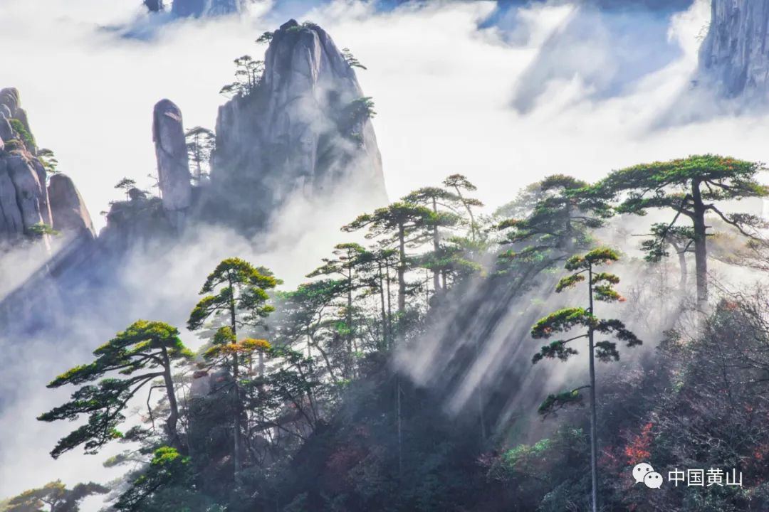 歙县记者节,记者采访风景视频素材