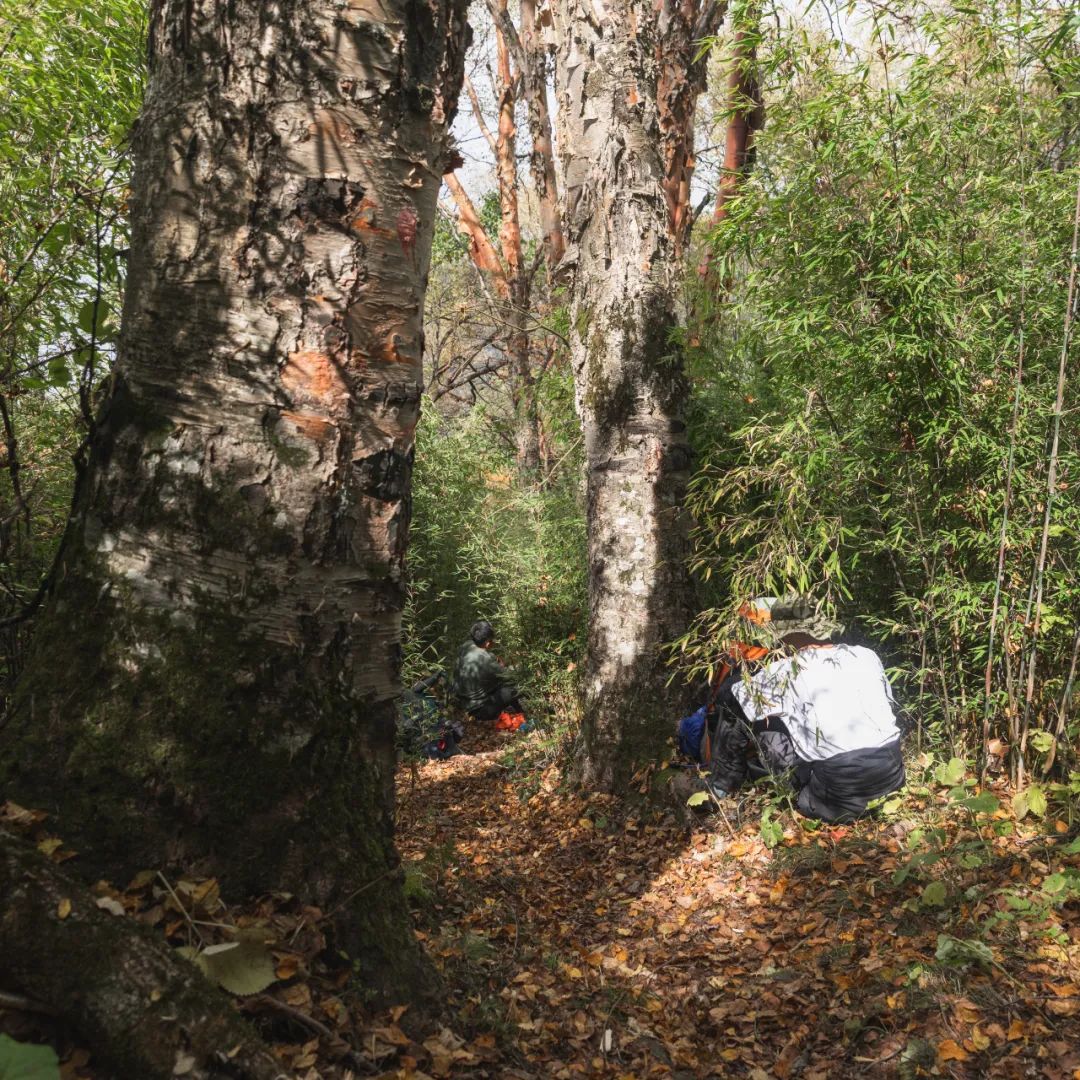 太白山是陕西最高点吗,秦岭最高峰太白山