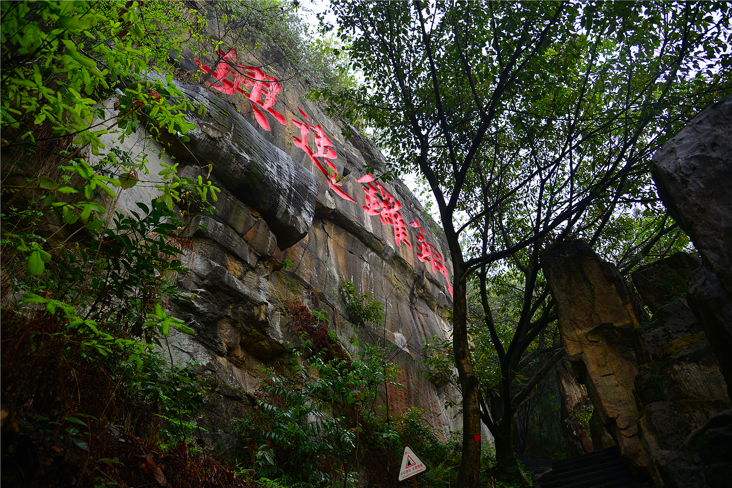 【重庆影像376】·铁山坪森林公园（202302）