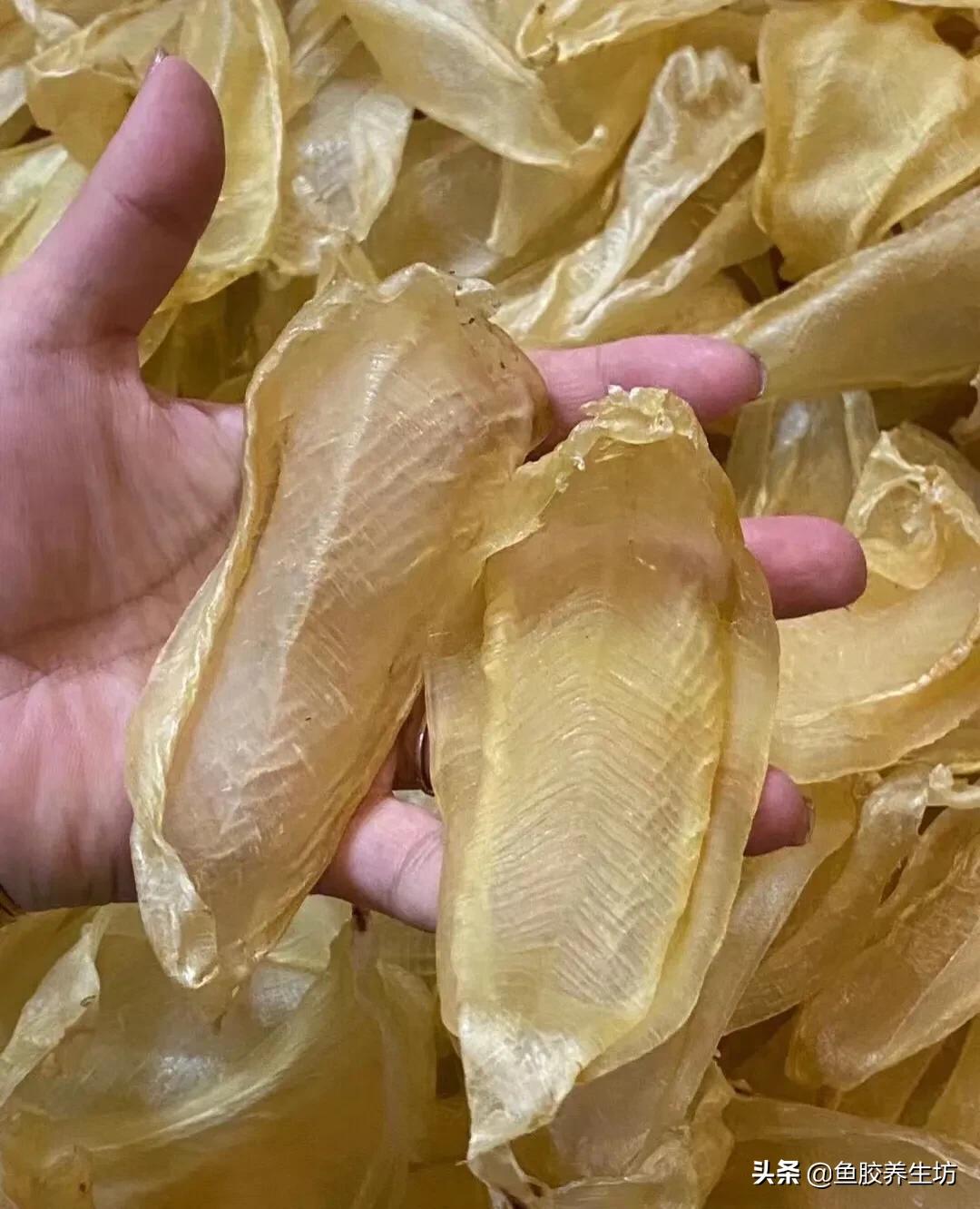 白花胶功效解说图片,养殖白花胶的功效与作用