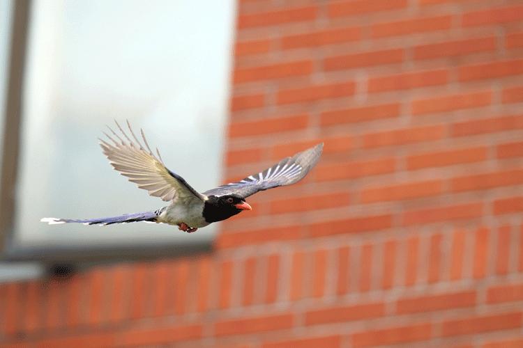 赏城中美景，品厦门味道。城市中心C位酒店，毗邻植物园、中山路