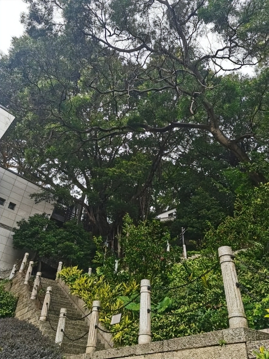 福建好玩的海边推荐,福建海岛旅游攻略自由行
