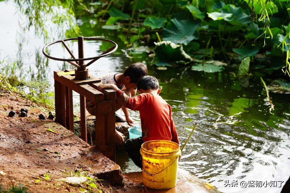 回忆童年糗事10件,我的童年糗事合集