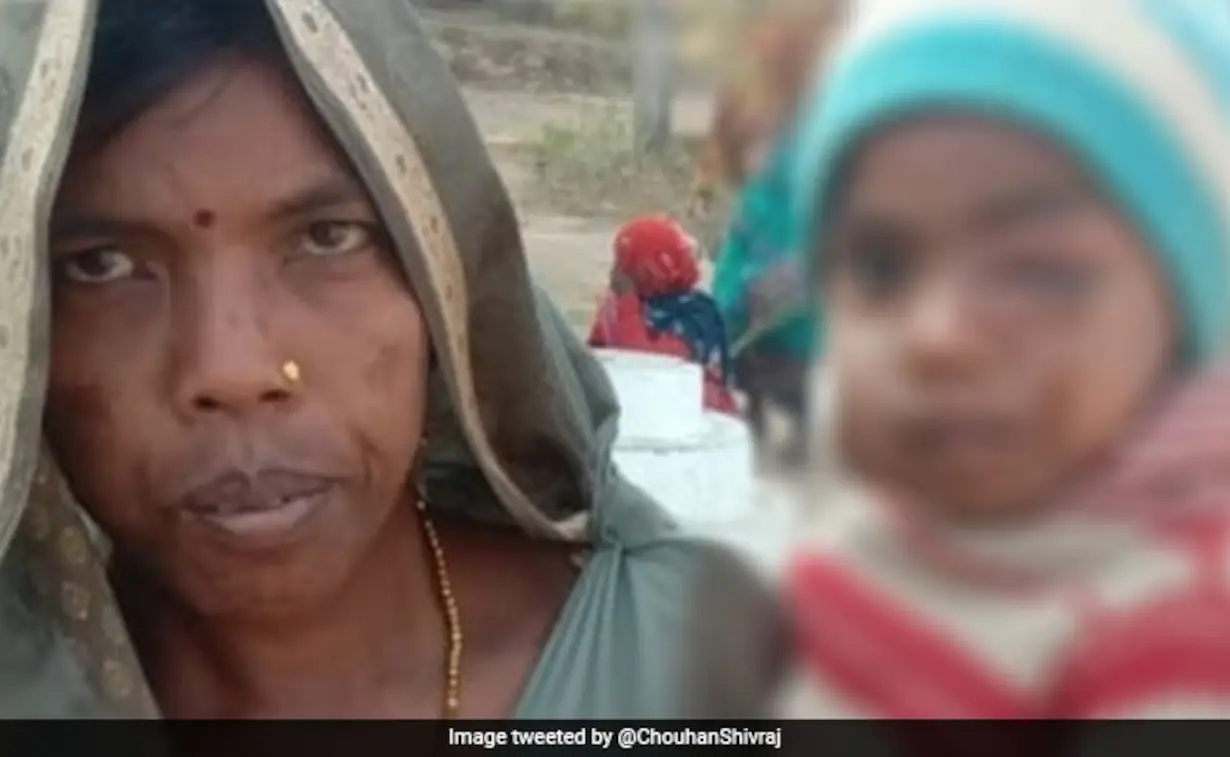 印度男子骑着大象被老虎袭击,印度男子遭豹子追击