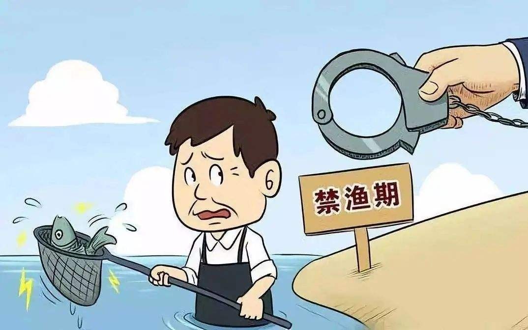 带鱼每年捕捞多少吨,带鱼产量逐年减少它会被吃灭绝吗