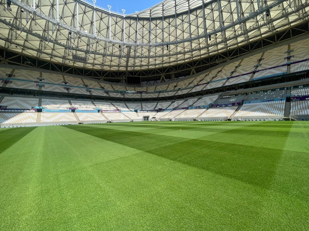 世界杯草坪建设过程,世界杯草坪是由哪个国家建造