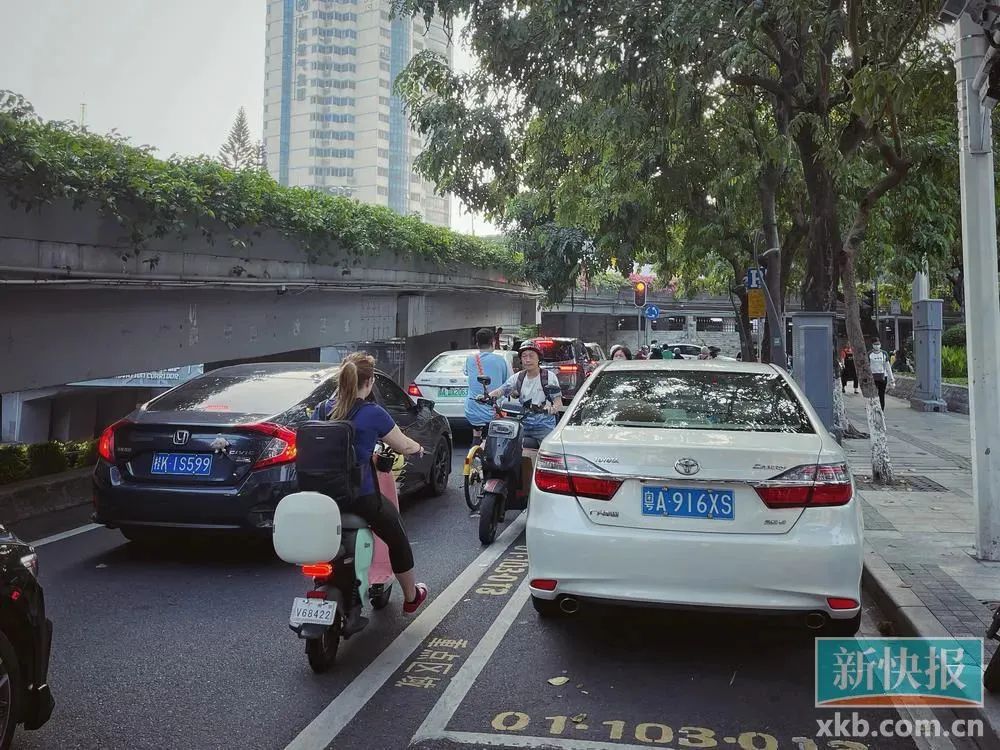 百日整治、举报有奖，能解决广州“*鸡电**围城”乱象吗？