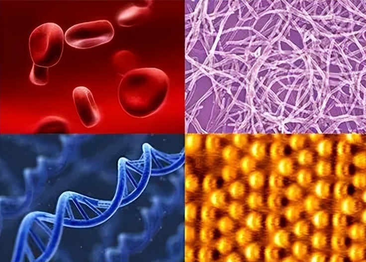 微电子和电子有什么区别,微电子跟什么有关系