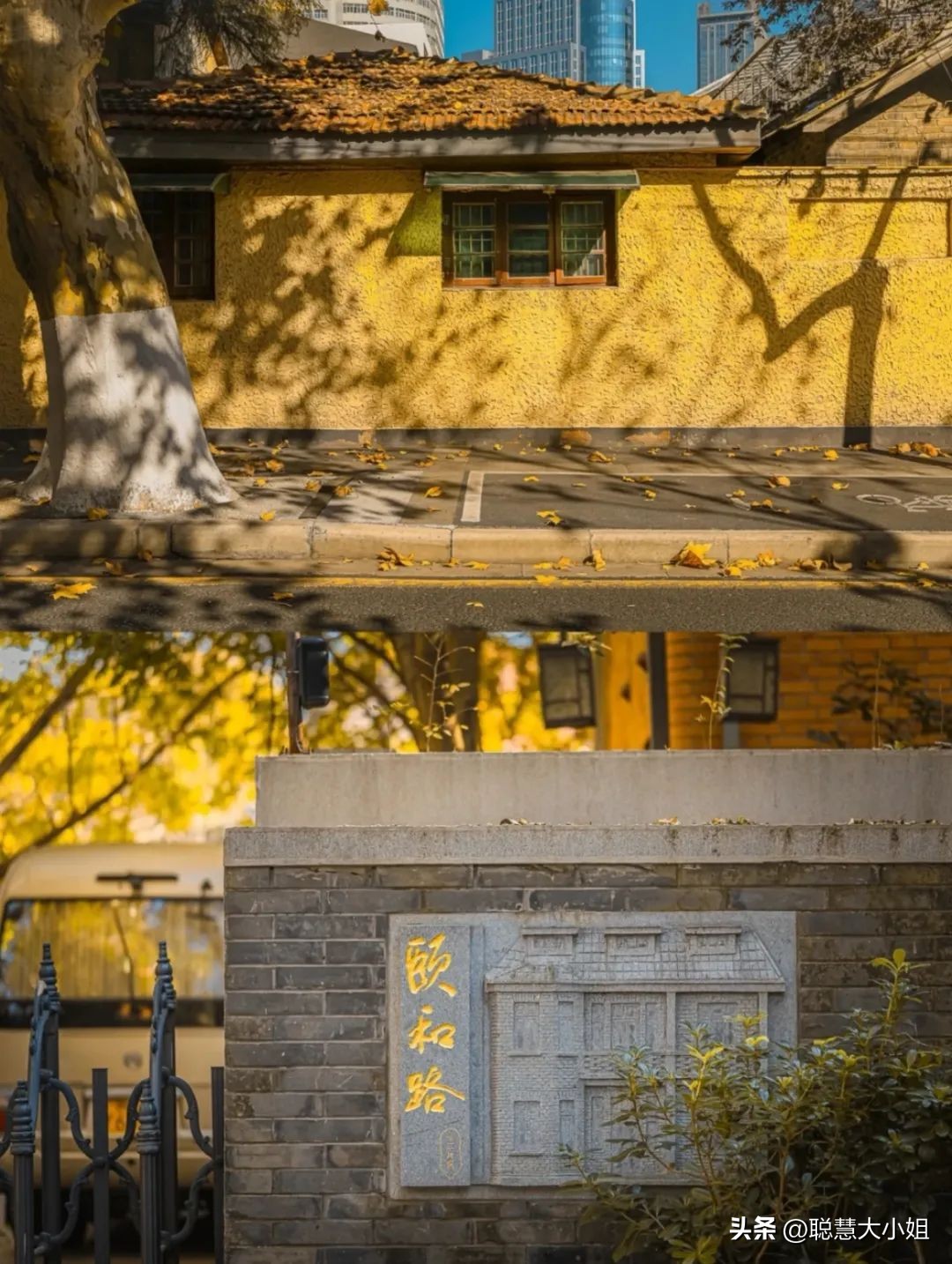 南京赏秋枫叶,南京秋天赏枫叶好去处