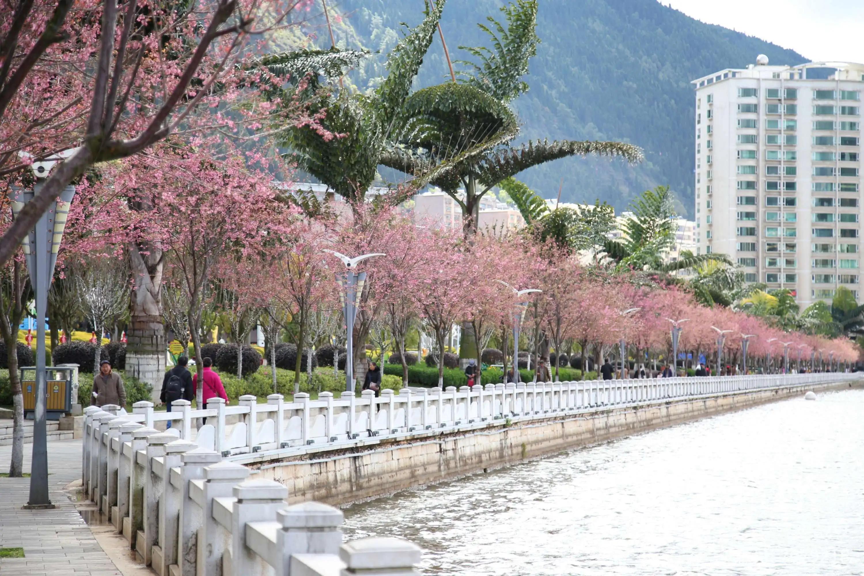 涓棫缃戠孩鎵撳崱鍦ｅ湴,涓棫鐪熺殑鏄吇鑰佸湥鍦板悧