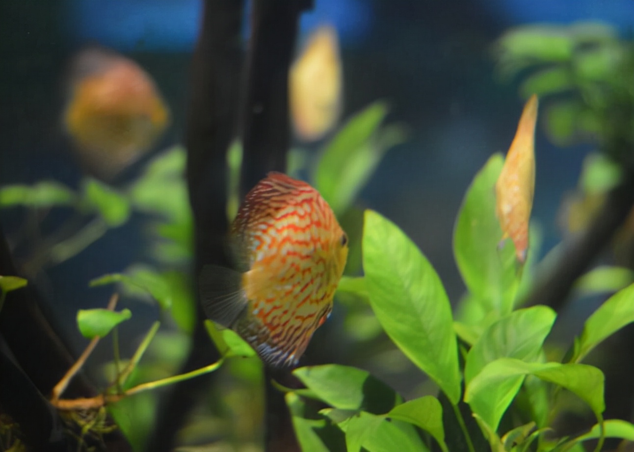 金鹰海洋世界常州万达,常州金鹰海洋世界怎么样好玩吗