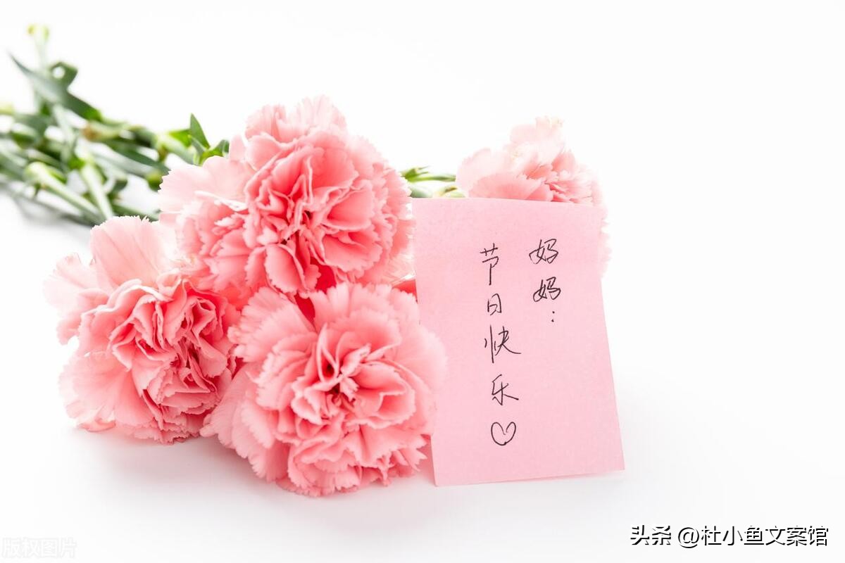 母亲节文案无私奉献,母亲节文案人间值得