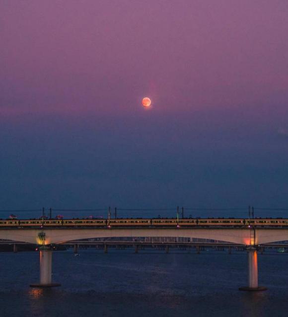 十五夜望月描写节日的诗句,关于月亮正月十五思乡的古诗