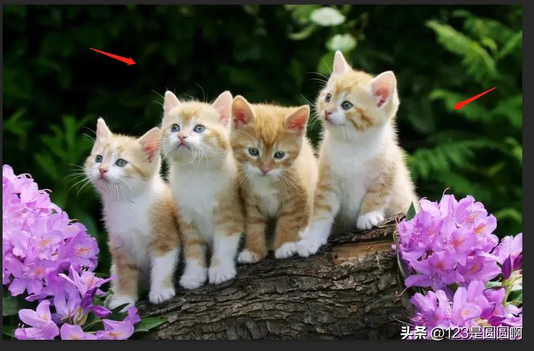 ps如何把模糊的文件变清晰,模糊图片文字变清晰教程ps