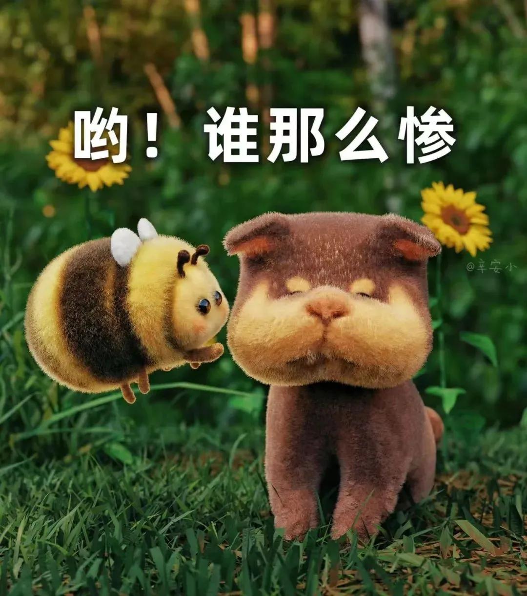 蜜蜂bee表情包,肿脸蜜蜂表情包