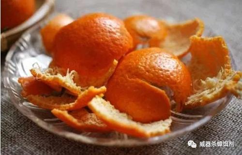 家庭灭蟑螂最好方法十招简单有效,家里蟑螂多怎么灭有效果